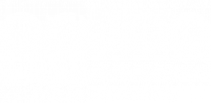 HPE Aruba : High-Performance, Secure Wi-Fi: Provides the robust, secure, and high-density Wi-Fi infrastructure necessary to support thousands of concurrent student and staff devices, with built-in security to protect the network edge.