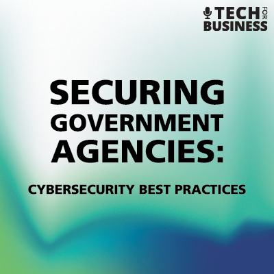 Securing Government Agencies: Cybersecurity Best Practices