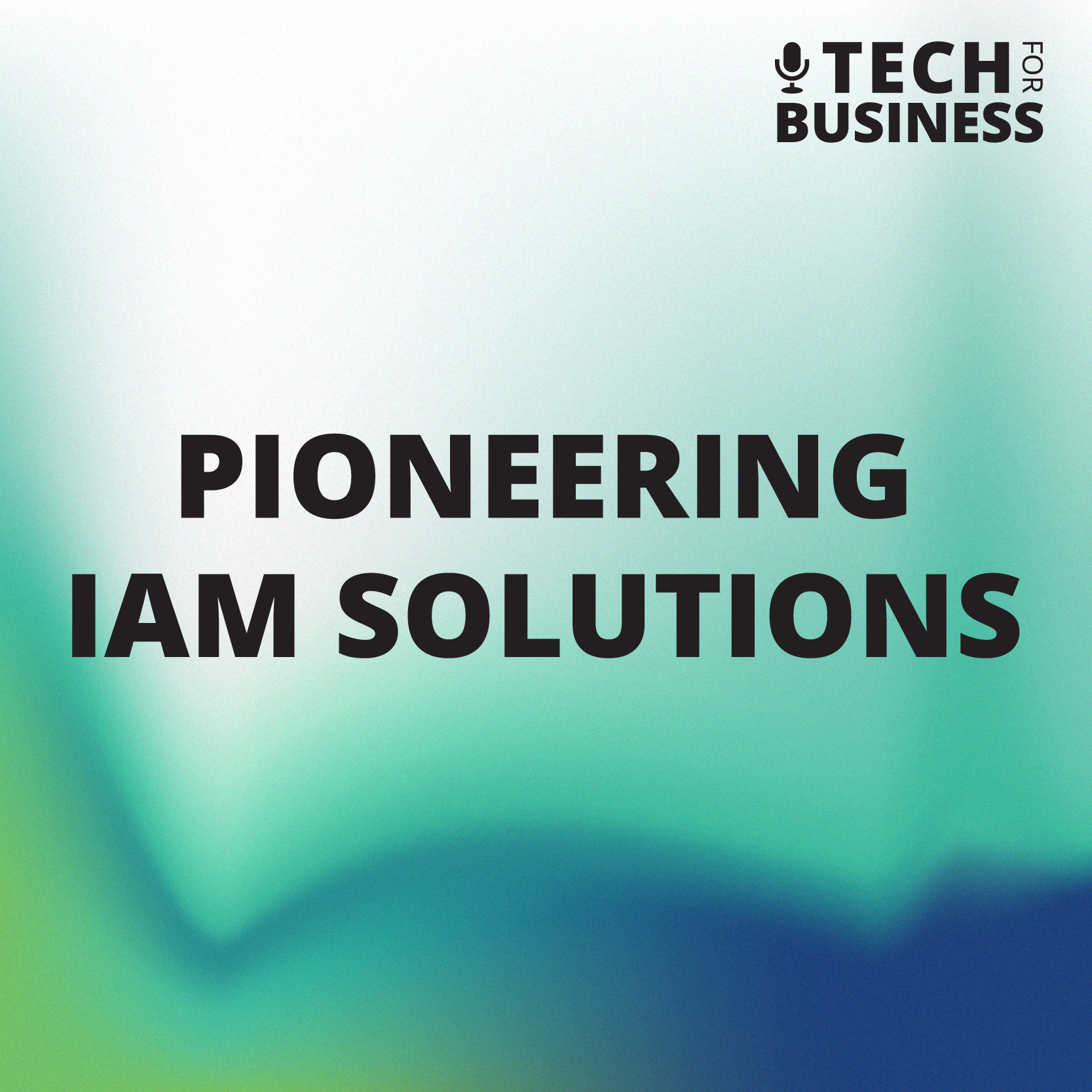Pioneering IAM Solutions