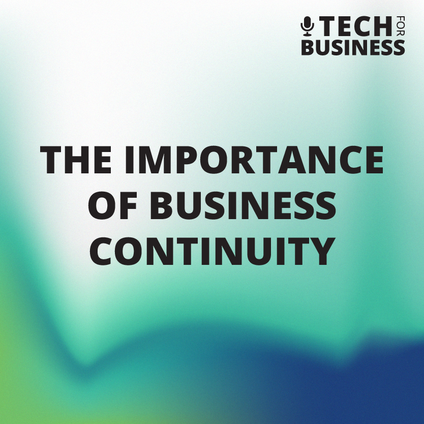 Weathering the CrowdStrike Delta Storm: The Importance of Business Continuity