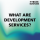 What are Development Services?
