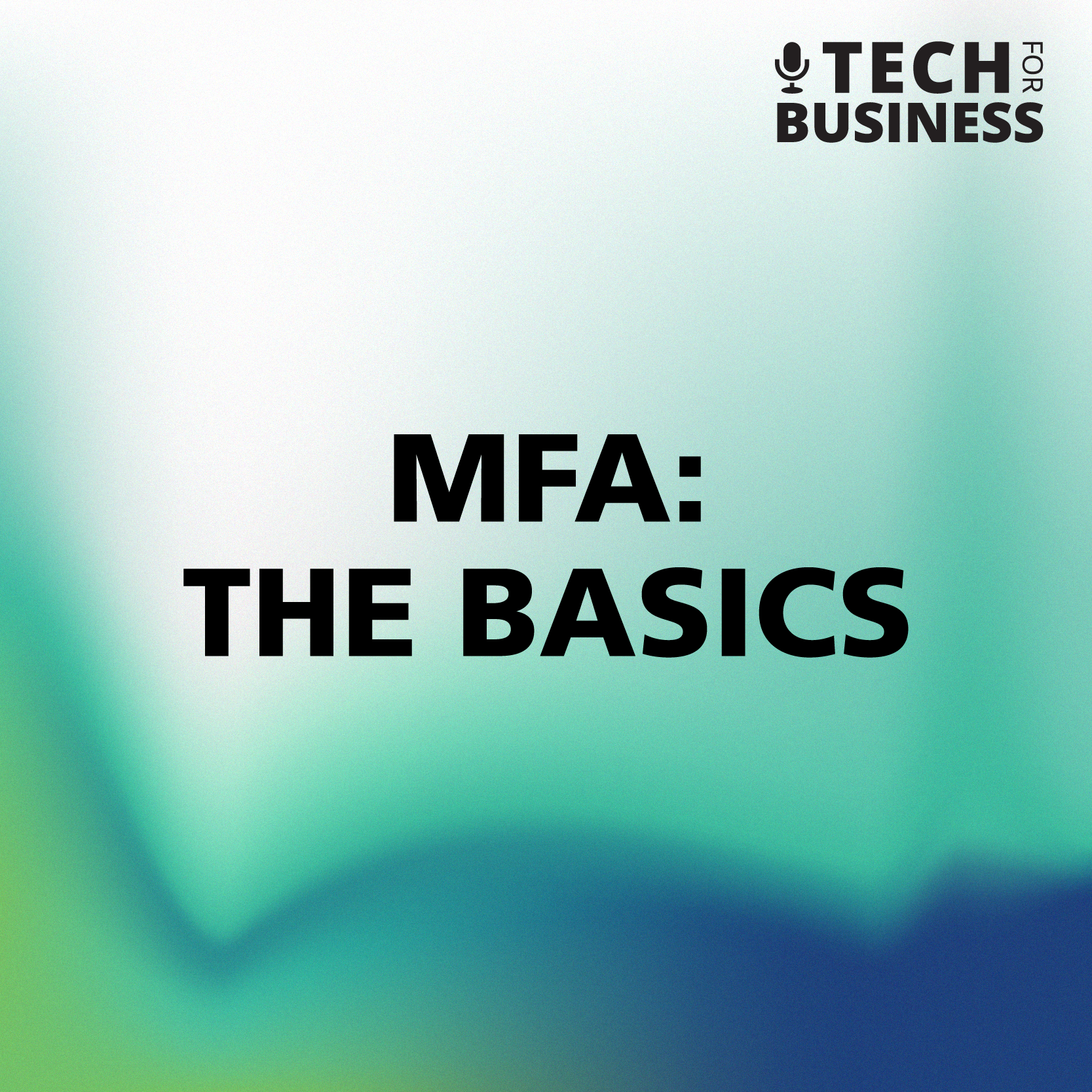 mfa the basics